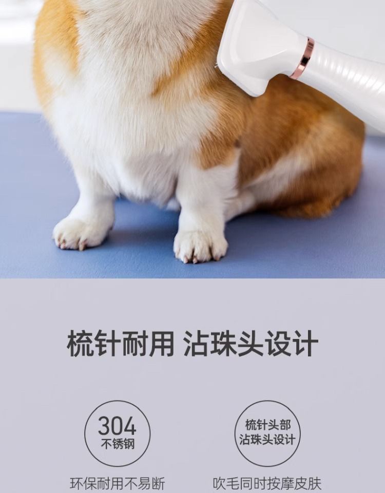 eae89612-a7f1-43e5-8572-09655f9e7e7b.jpe