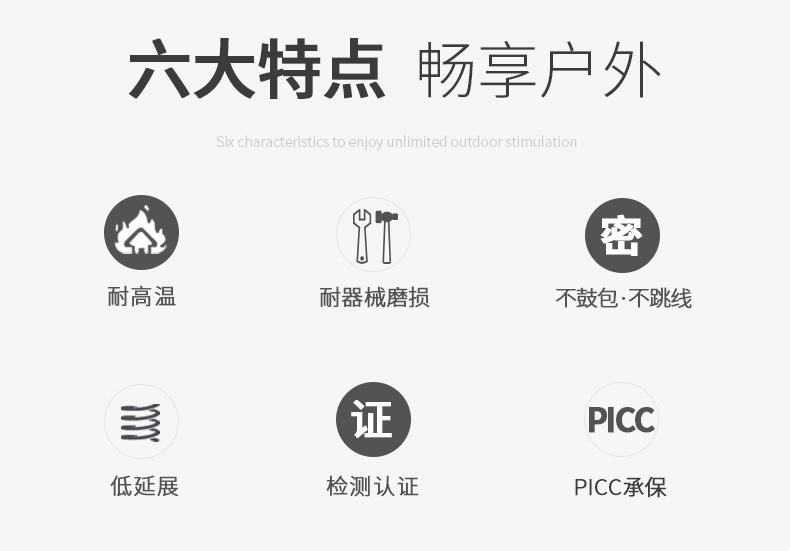 六大特点.jpg