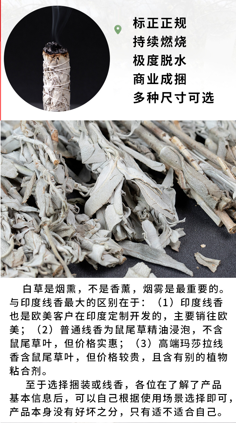 鼠尾草综合详情 (3).jpg