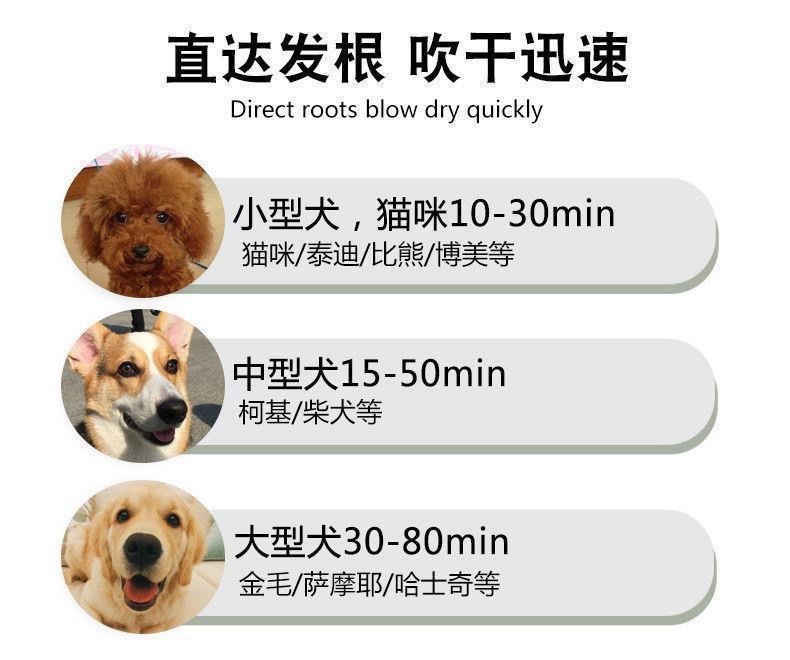 6f25e378-f86e-4077-8c8d-f09aa4d194e5.jpe