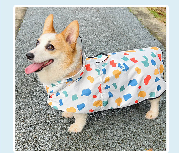 b9b75dd0-5720-4dc9-9966-c62095a97dda.jpe