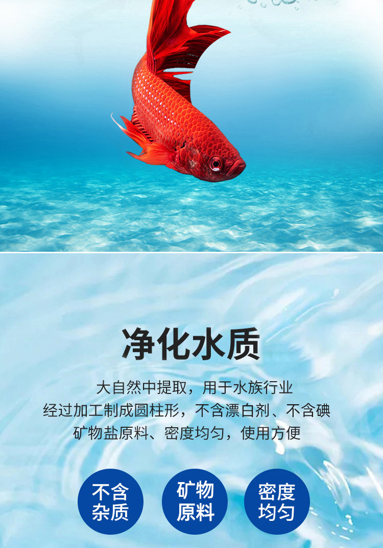 微信图片_202407221448302