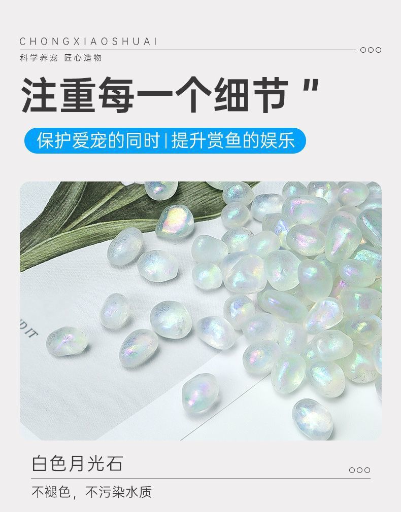 2148e4cb-4e0b-42d7-8896-80844885e2a9.jpe