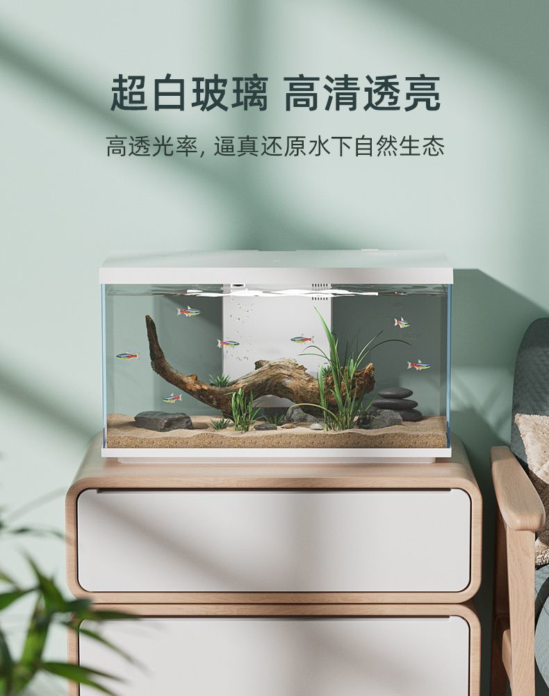 5f7c229b-a14d-44d7-8cc1-0817ced0b3f2.jpe