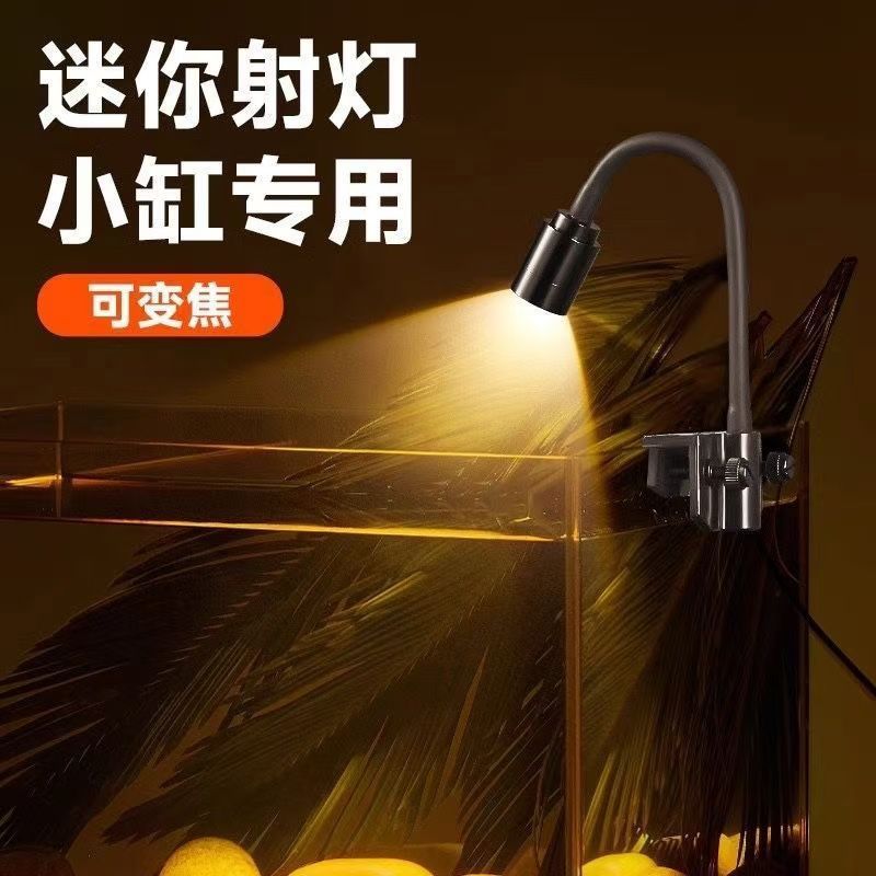 fe296de1-58d2-4dd3-a4aa-a8e14af7a864.jpe