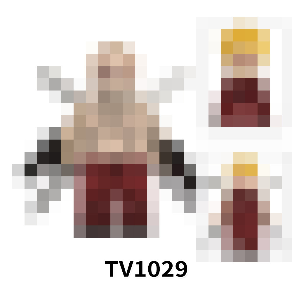 TV1029