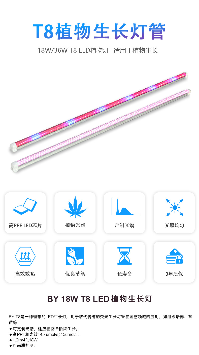 中文-常规T8-120cm_01.jpg