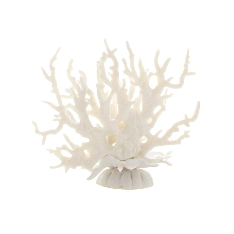 2d8354f2-5ce6-41fc-8f6f-4ca3d4f5a6ec.jpe