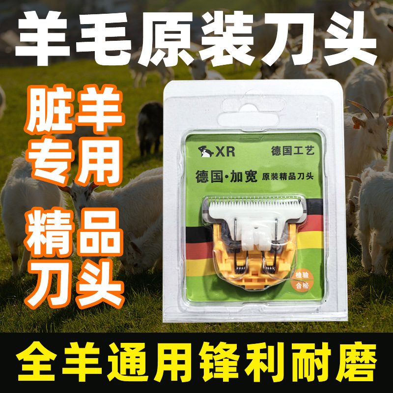 微信图片_20260130122540_217_1817