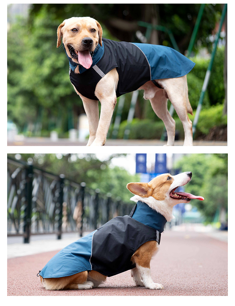 犬用冲锋衣_10.jpg