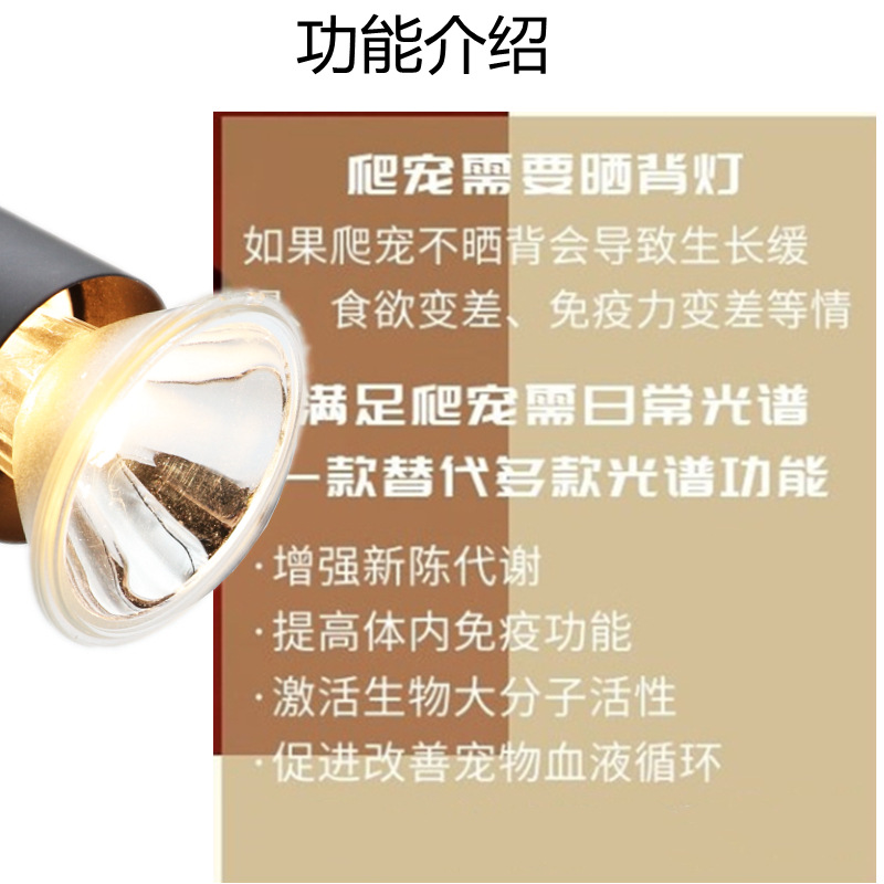 详情5.jpg