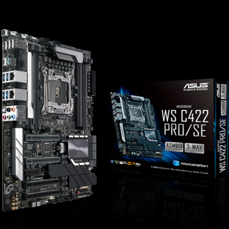 WS C422 PRO SE_01