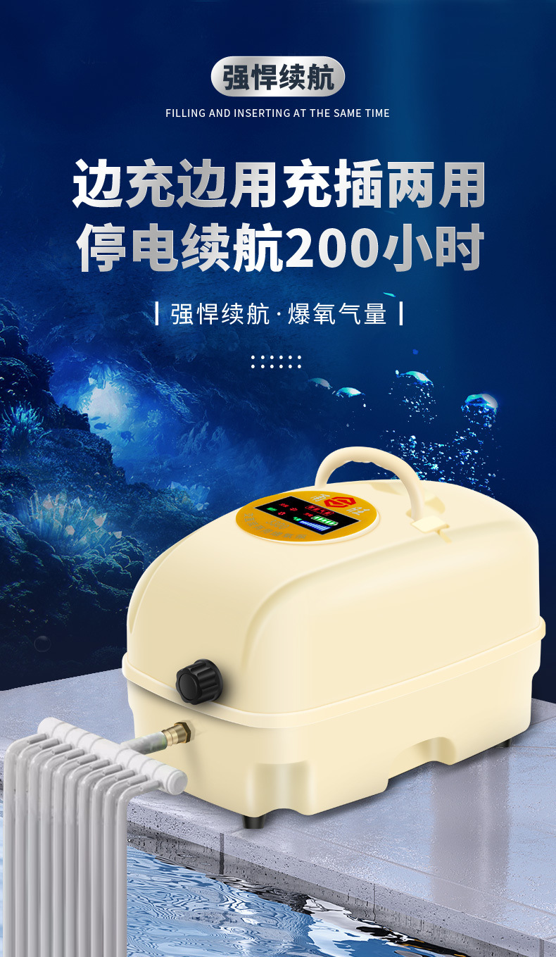 2ce6b87b-b2f8-4c32-8805-306b3b79fcd4.jpe