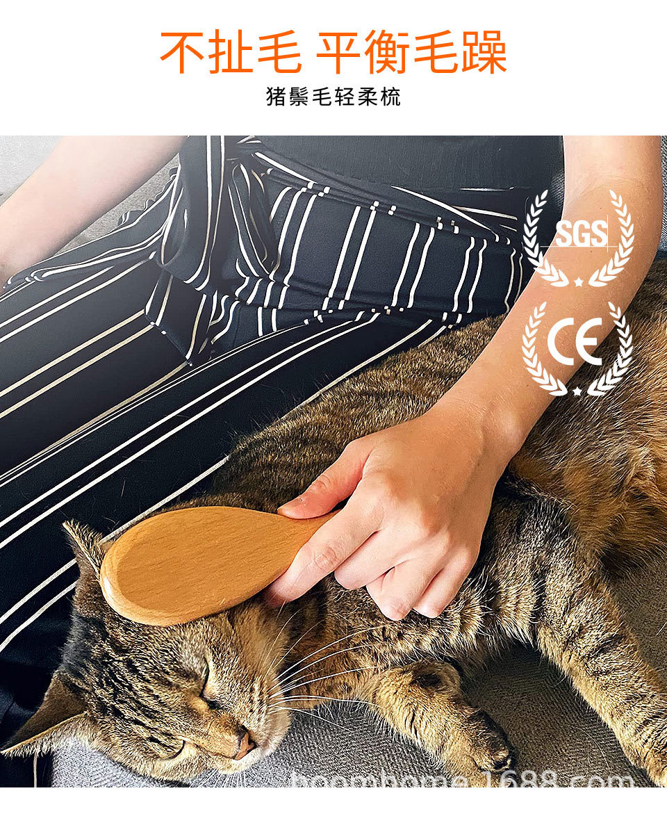 猪鬃毛梳刷_05.jpg