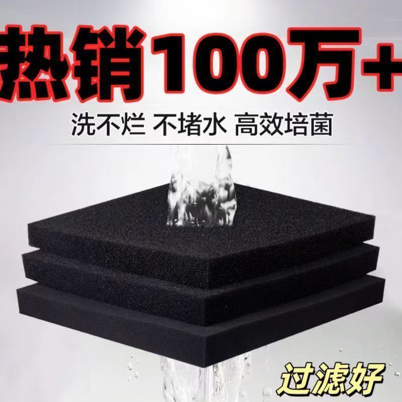 6cb693e5-2b9d-4f6e-b24a-868264cb5adb.jpe