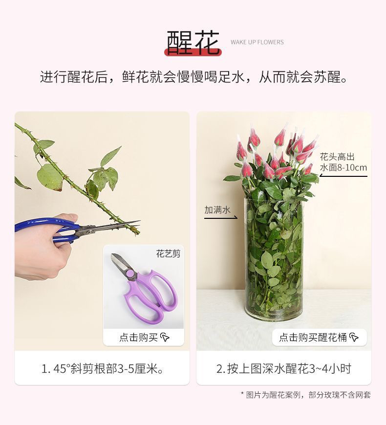 8523e33b-a1b2-41fc-86a5-fd6781b803f4.jpe