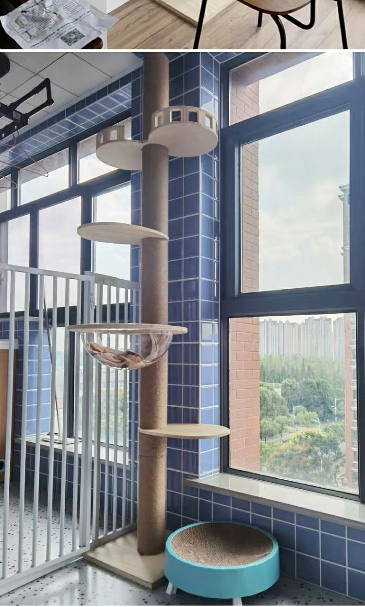 6a0fa13a42c01d192f4360ce9a27de21.jpg?x-oss-process=image/format,png