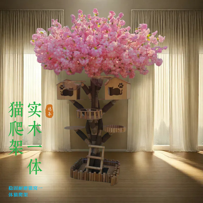 未命名图片_2025.01.21 (2)