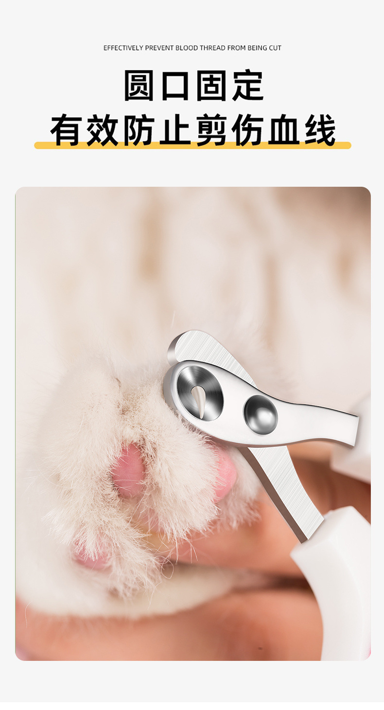 2dcf9628-c081-4ce3-b55f-8a4115d8435a.jpe