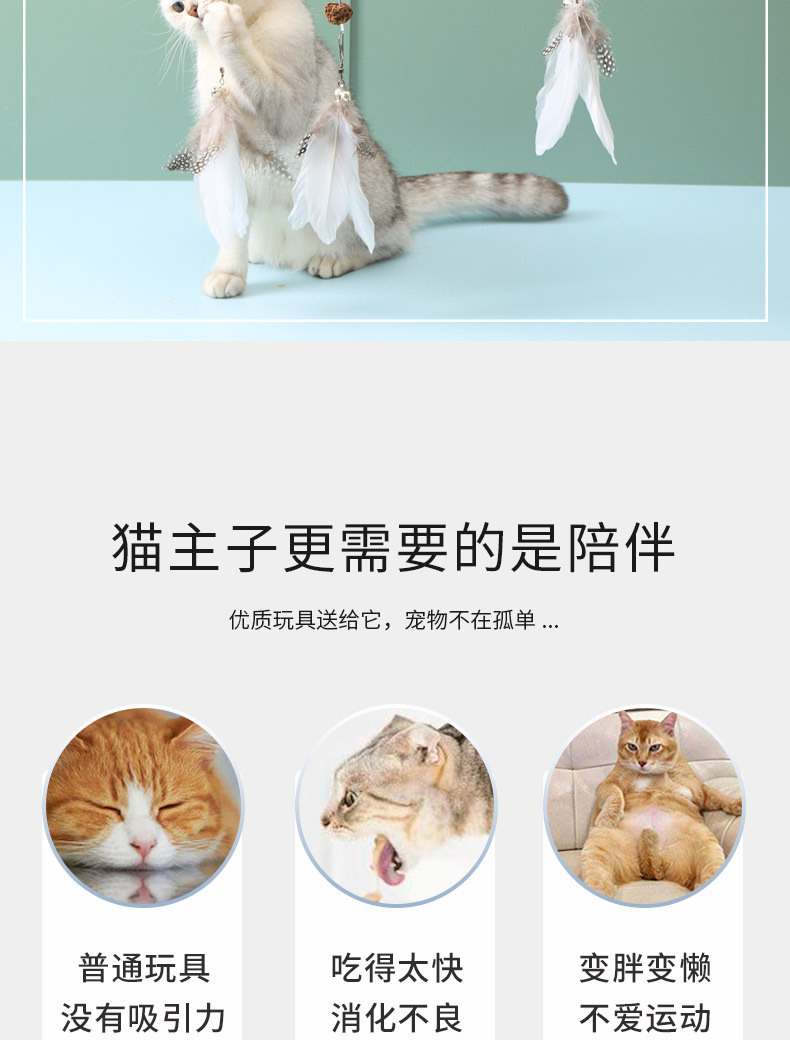 详情_02.jpg