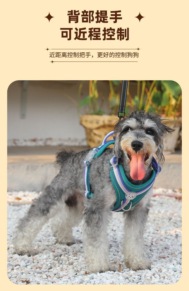 6f56af6f-bb67-42bd-9b6e-e97d7d5d36e3.jpe