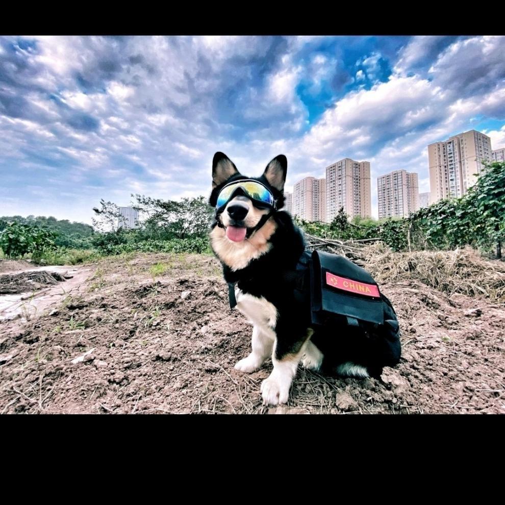 d814e894-6137-44a3-b12b-3b3ea8071027.jpe