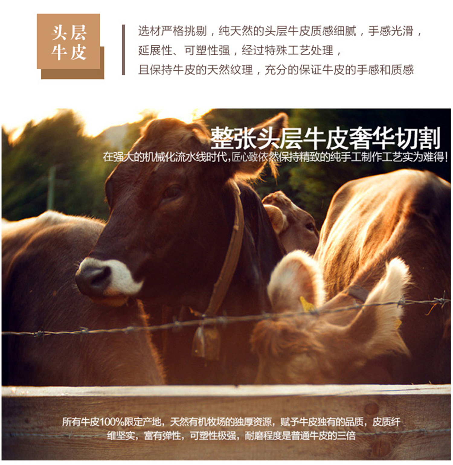 一键复制_20220604112225