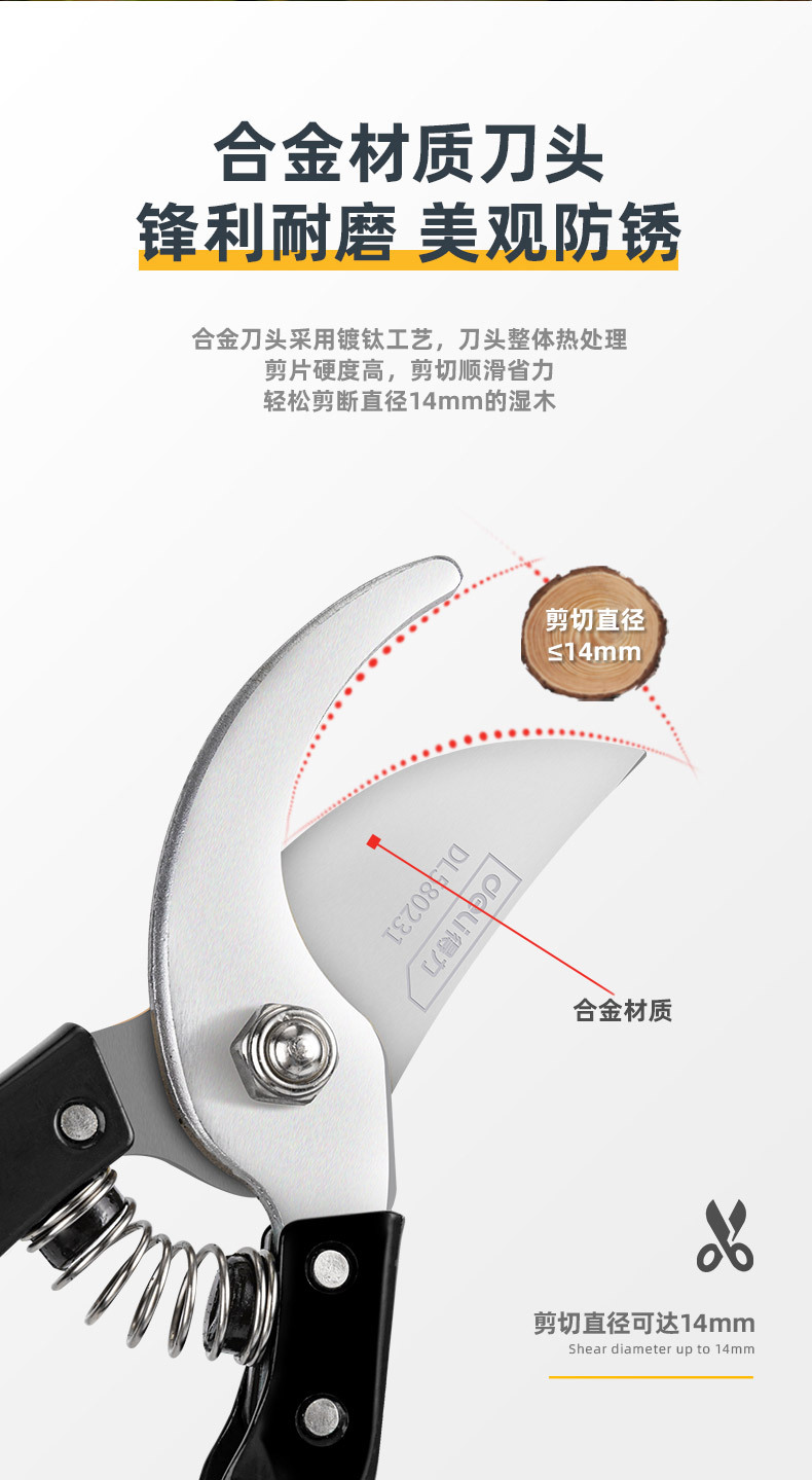 DL580200 (11).jpg