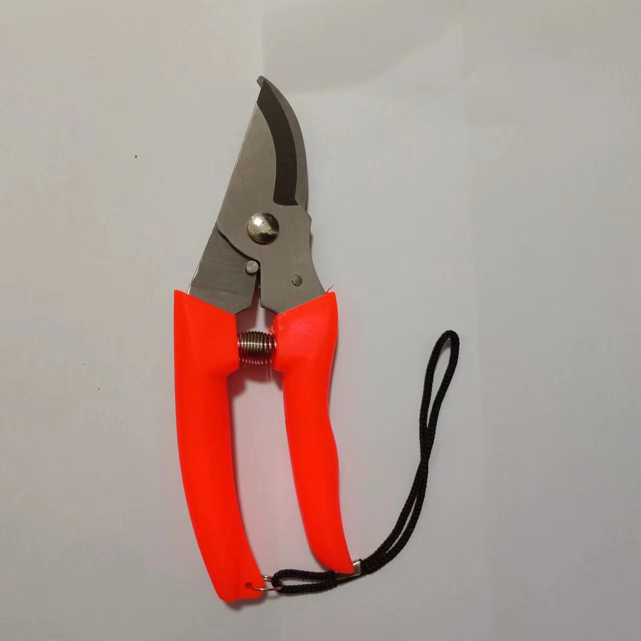 微信图片_20240423095153