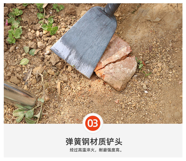 cabb45e5-5c83-46d1-82ea-38319ae1d990.jpe