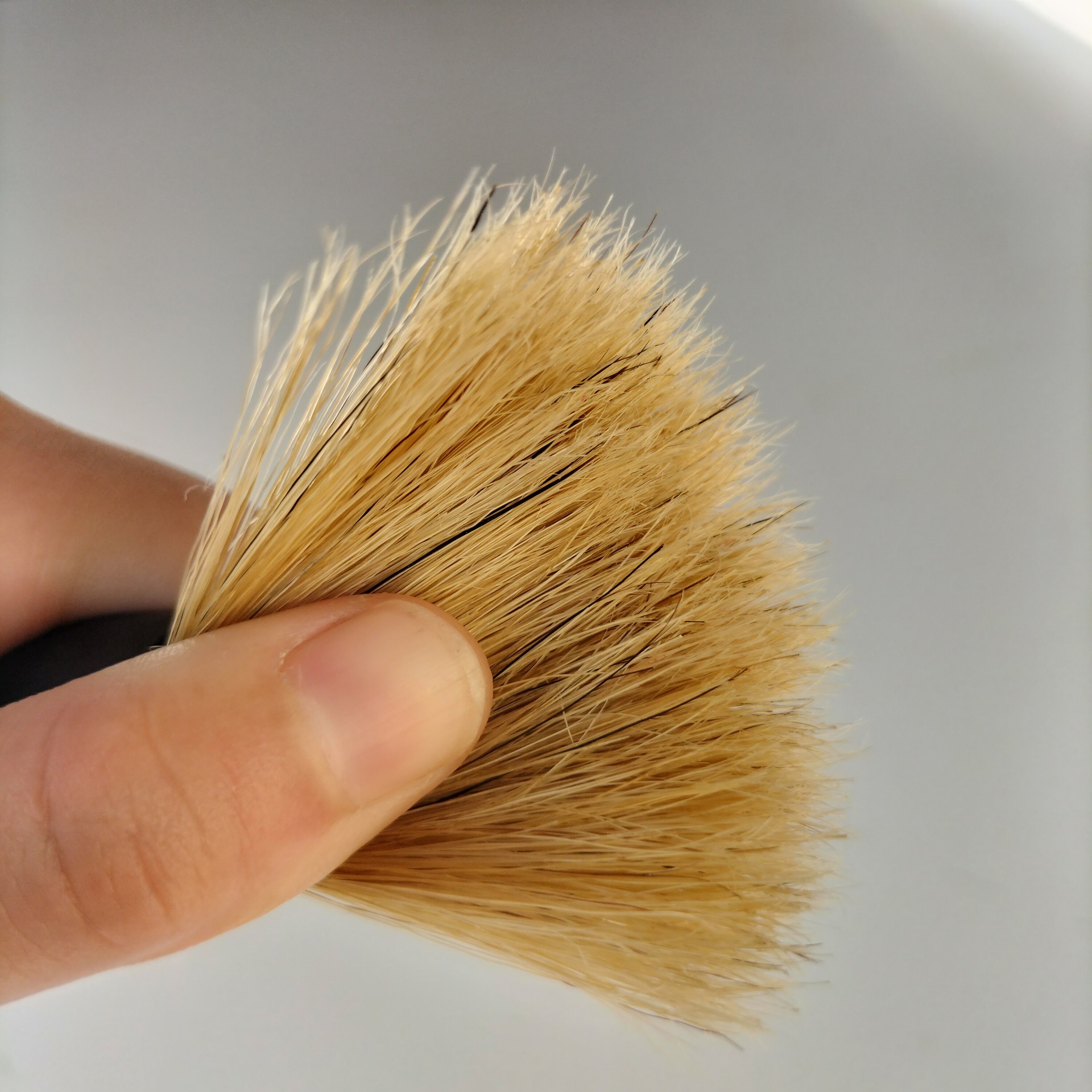 一键复制_20220304103728