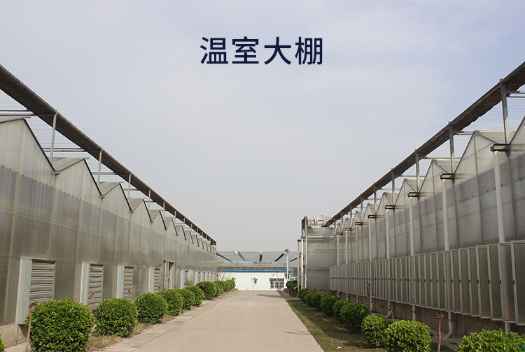 详情页_14.jpg
