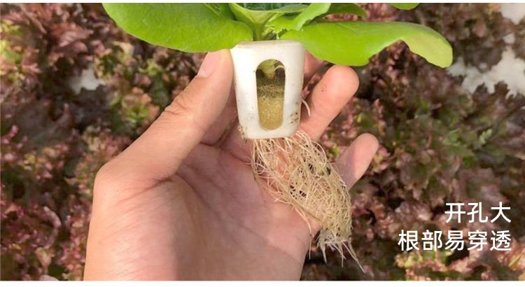 方形种植篮详情_06.jpg