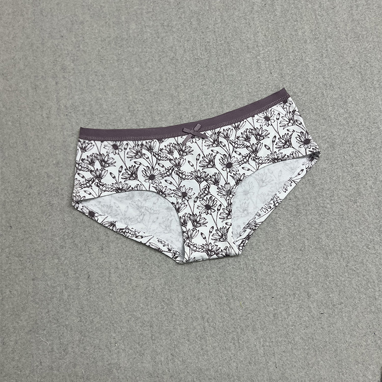 白底菊花 (1).jpg