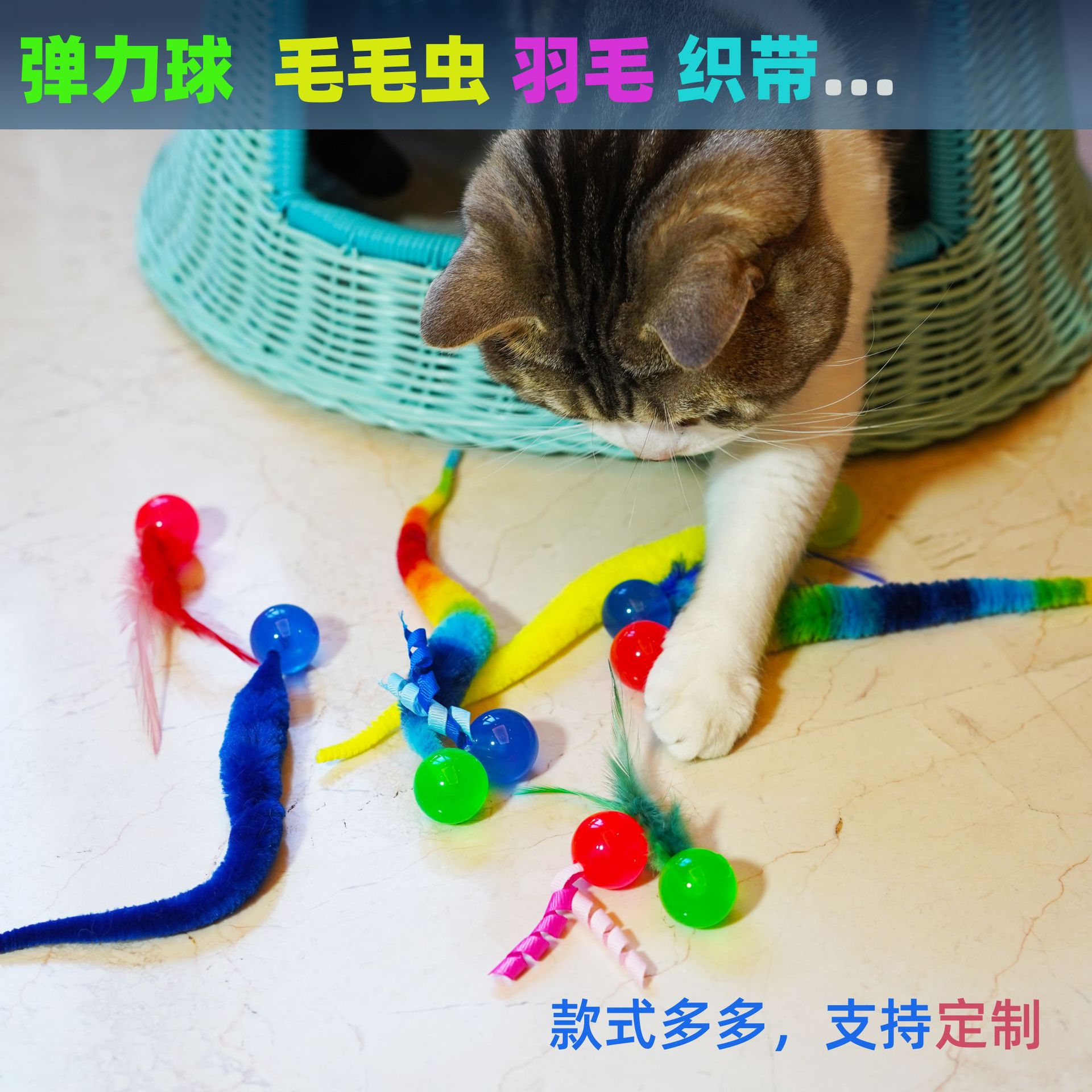 DSC01853-修