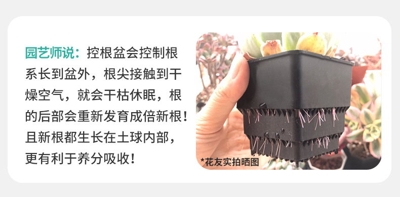 小方盆-1_05