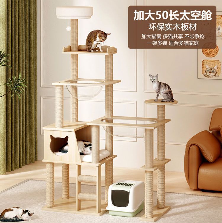 f40114e9-c8a6-4356-83f0-b8c6d8c37741.jpe