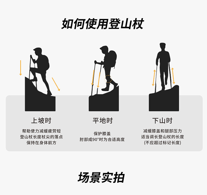 4ea98c4e-c5e1-4b8c-9a7e-da25a79e1008.jpe