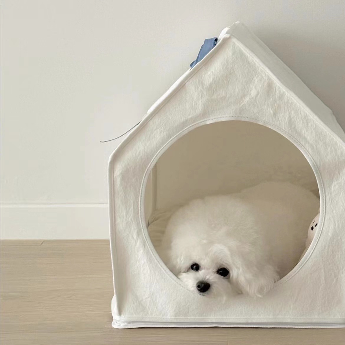 微信图片_20230725170129