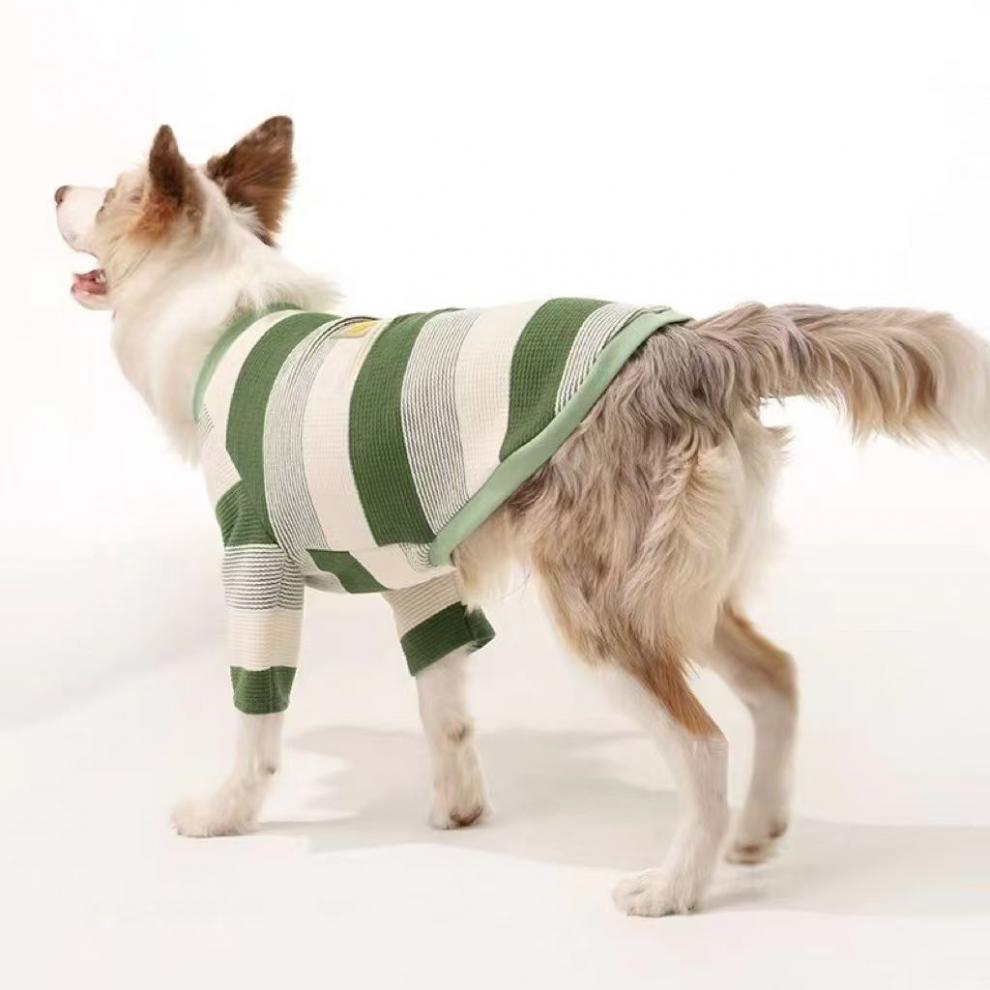 92e2de0a-95b2-4017-8bba-d24f7734e82e.jpe