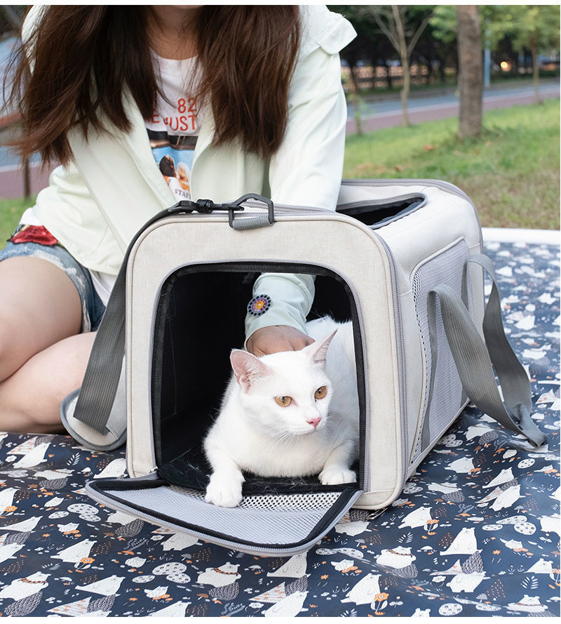 4b4e1711-5260-4aa2-af2b-7cbe2b400c52.jpe