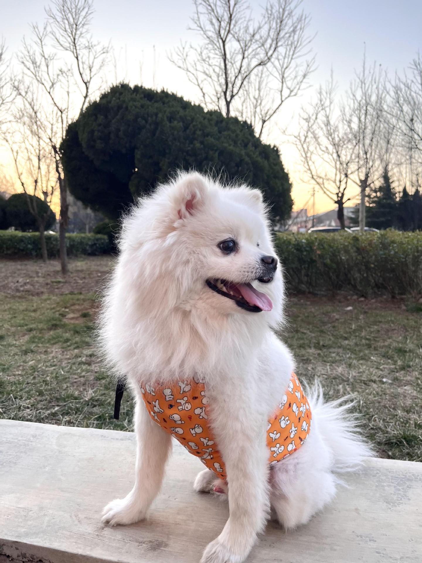 2024_03_30_18_05_IMG_1229