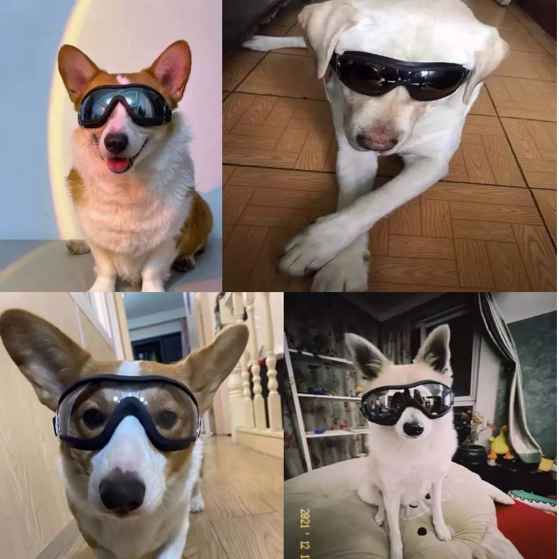 23d46d89-c9aa-4d64-af08-5d4a2a96ce28.jpe