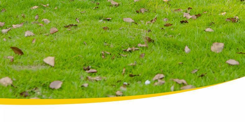 37cd38ee-0dc7-4a06-a38a-d5d820899ee0.jpe