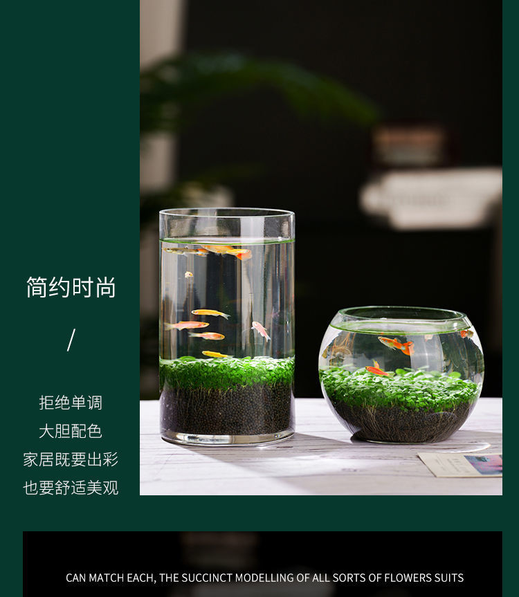 /O1CN01yj8y1q1zOwdGLCiGV_!!2217894876705-0-cib.jpg?x-oss-process=image/format,png