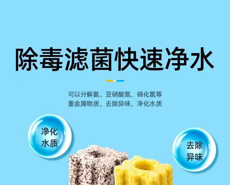 be68d003-2ef2-4f7b-ad35-b246f9baacfe.jpe