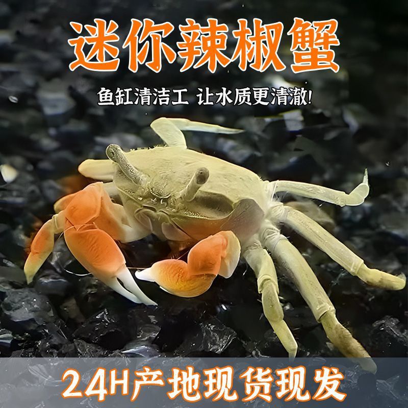 7775ec08-f8f3-4384-9210-5dfb980e7045.jpe