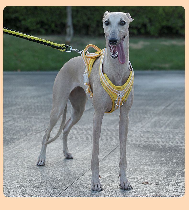 8f985b21-10ce-4583-94b5-a961d80f4dff.jpe