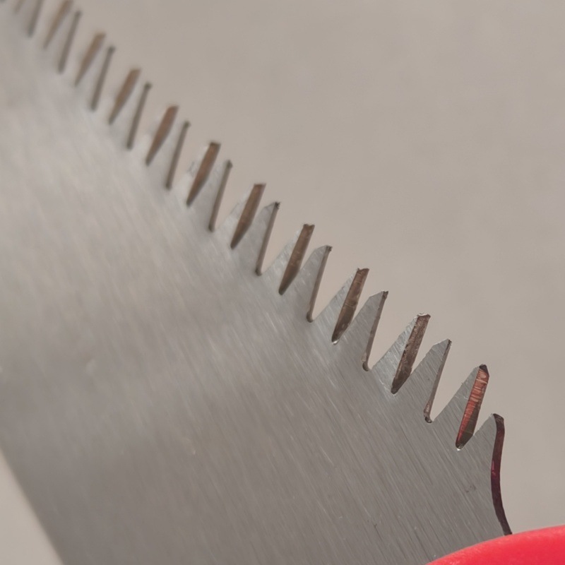 微信图片_20250113094826_副本