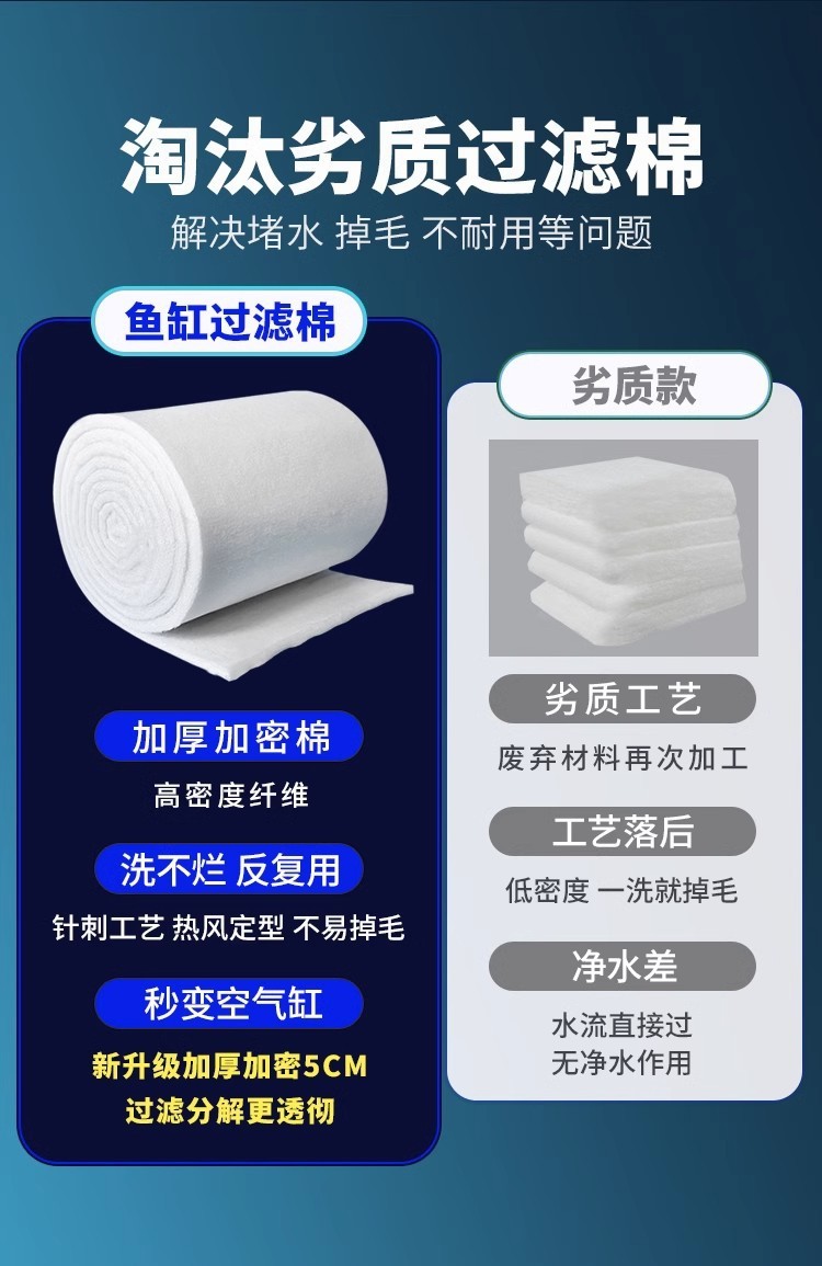 81035b10-43a2-4e34-a6db-6fc8f4f0b290.jpe